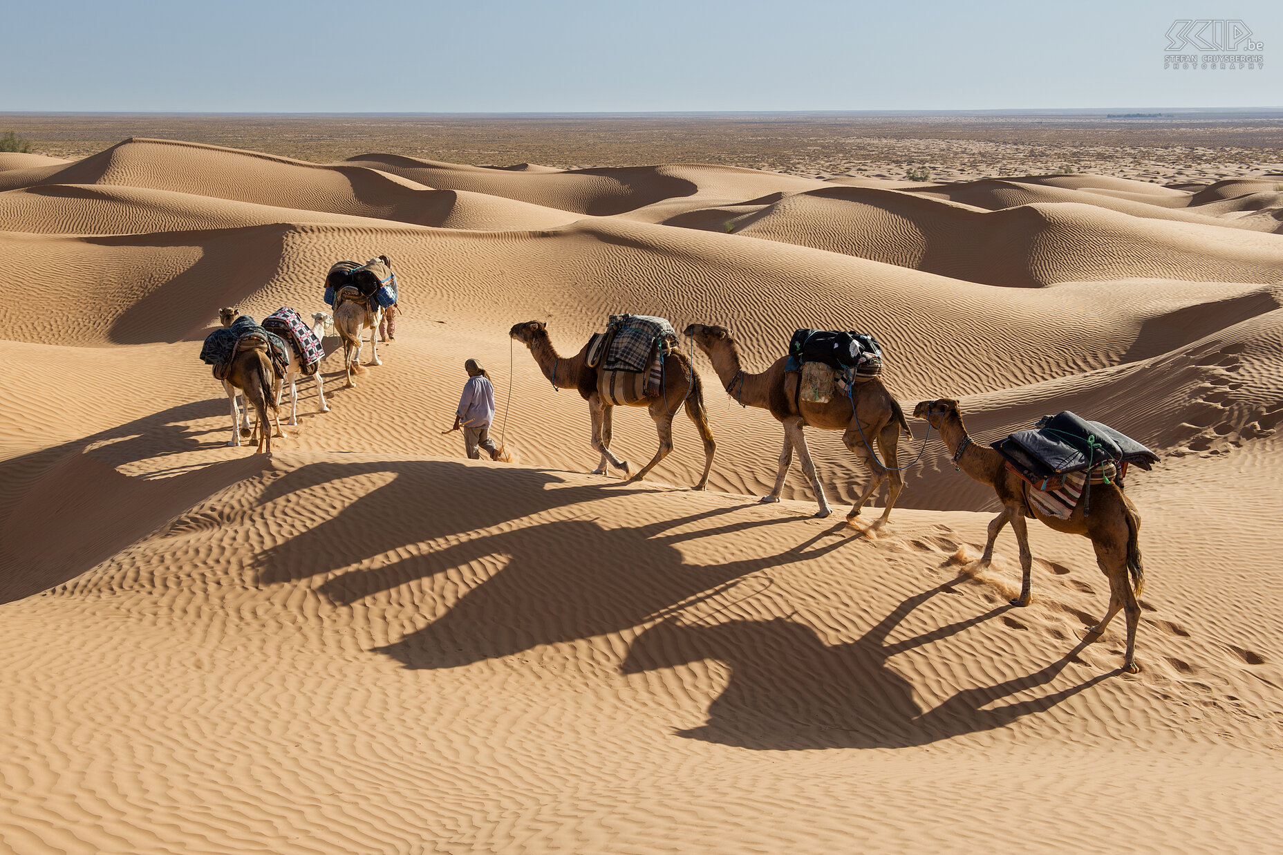 Kamelen De laatste hoge duinen gordel alvorens we werden opgepikt door een jeep. Stefan Cruysberghs